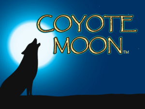 Coyote Moon Hero