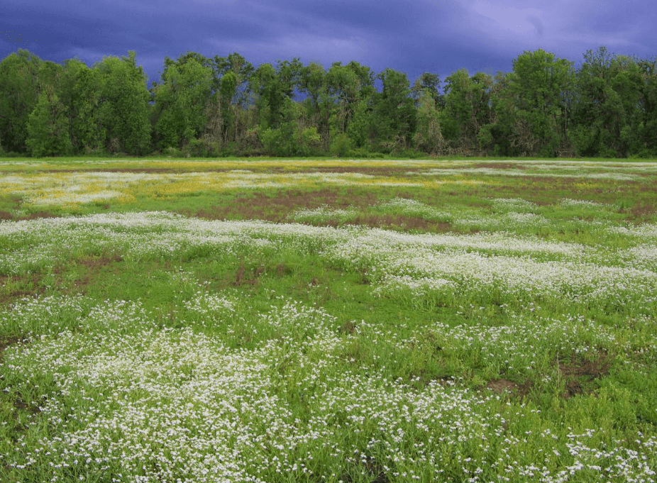 Coyote Creek - Restoring Wetlands | Oregon Lottery