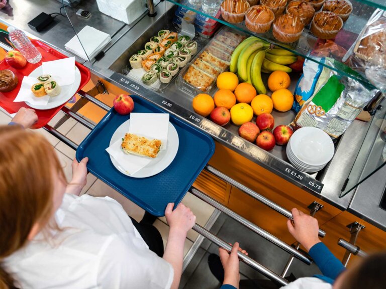 An overhead view of a child's tray and cafeteria food selections.