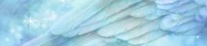 Wings of Fortune Tout