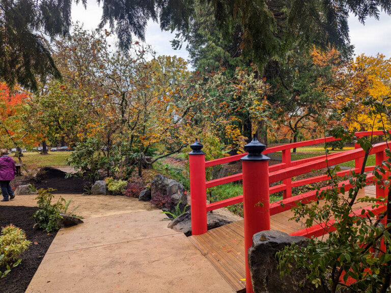 Newly reconstructed bridge in Dallas's Japanese garden