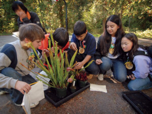 A group of campers squats to examine a tray of carnivorous pitcher plants.