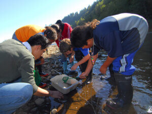 A group of Outdoor School campers investigate insects netted from a creek.