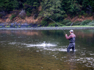 A man in waders reels in a fish