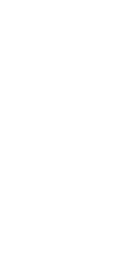 leaf illustration